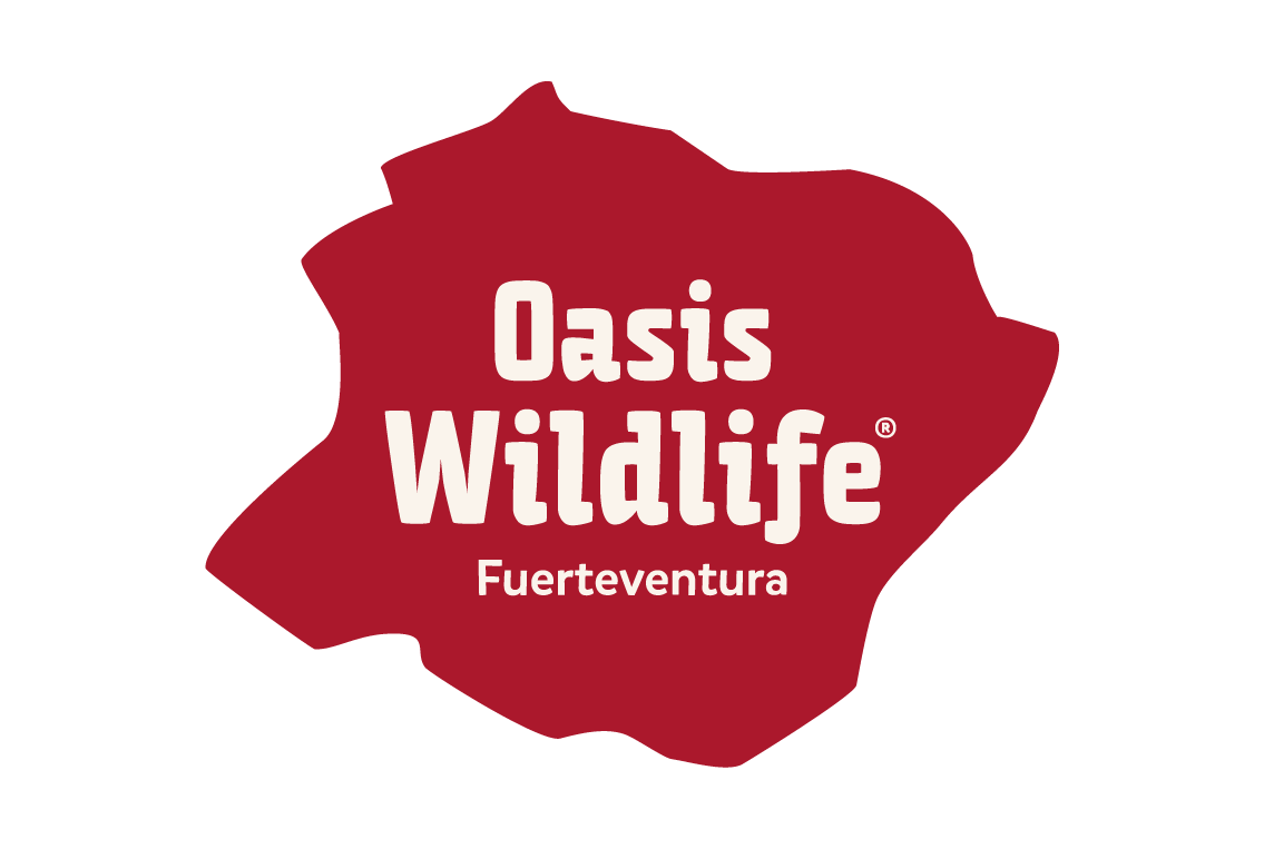 Oasis Wildlife Fuerteventura